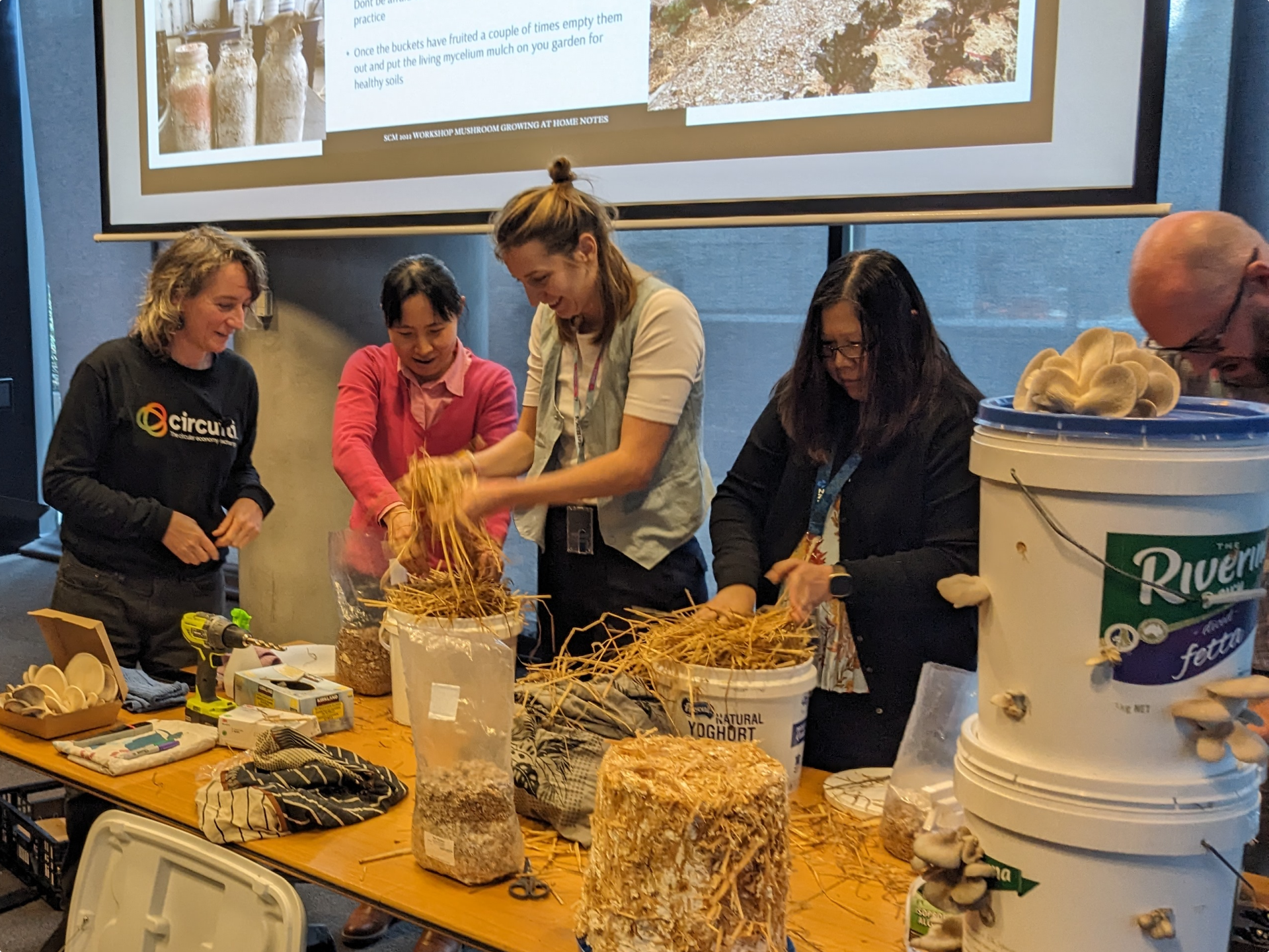 A zero waste mushroom workshop run by Circuiti as part of ANZ Green Ambassador Summit.