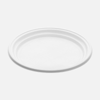 Dinnerware (plastic)