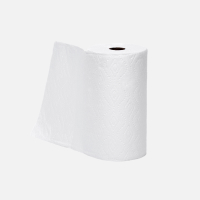 Paper towel (used)