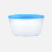 Reusable plastic containers