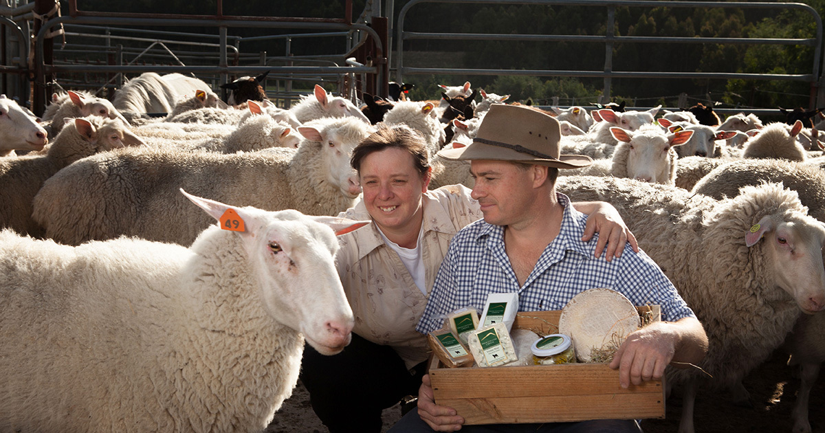 Gippsland cheesemakers harness solar to solve power problems