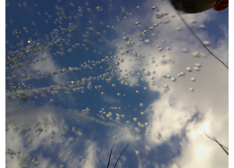 Looking towards the future
The camera is slightly submerged in water to create this image. The photo to me represents the beauty of what a few little water droplets combined can create. I hope in the future we have learnt from our mistakes and failures and put our main focus towards caring for the waterways and ocean and to reduce climate impact by looking for alternatives for our Co2 producing factories to save our planet from a world of polluted air, oceans and waterways.
St James Parish School, Sebastopol - Bentley - Year 6