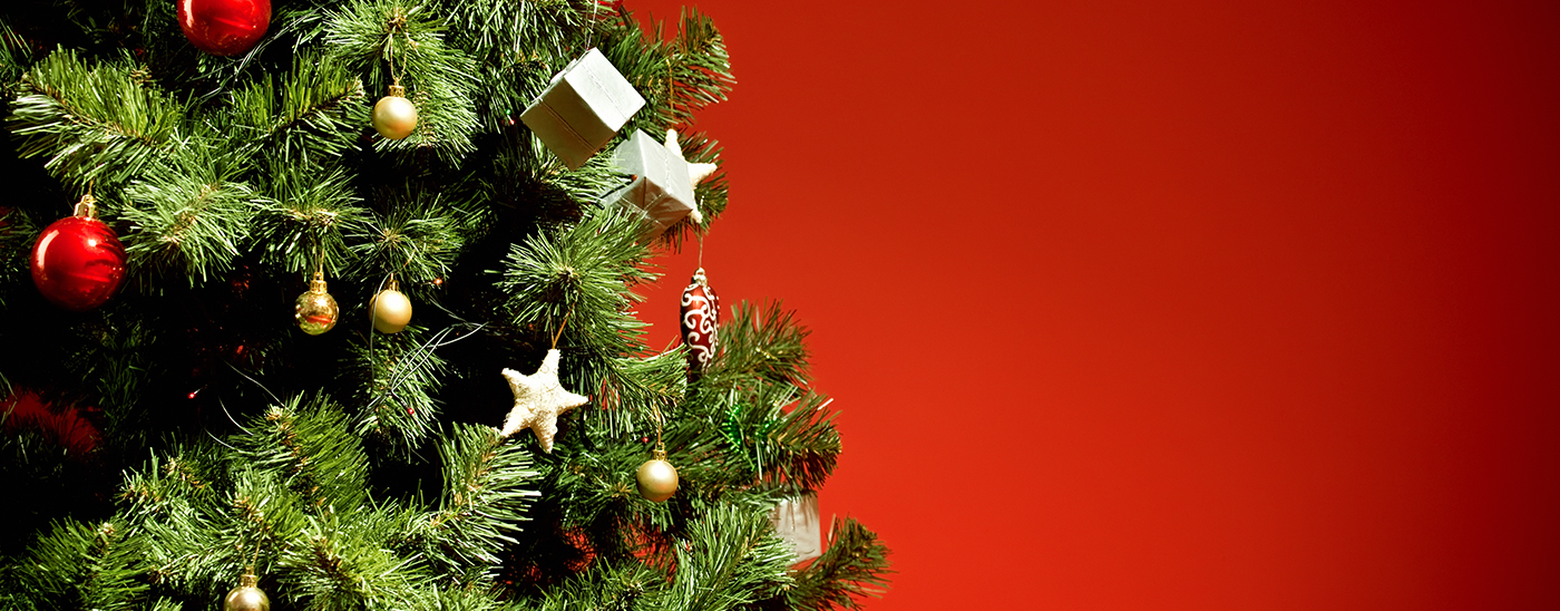 Dispose of Christmas trees Sustainability Victoria