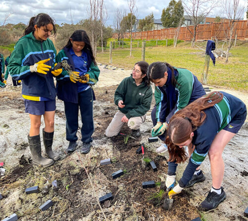 Image RSSA26 finalist Aitken College