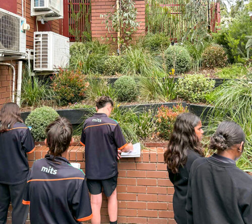 Image RSSA26 finalist Melbourne Indigenous Transition School