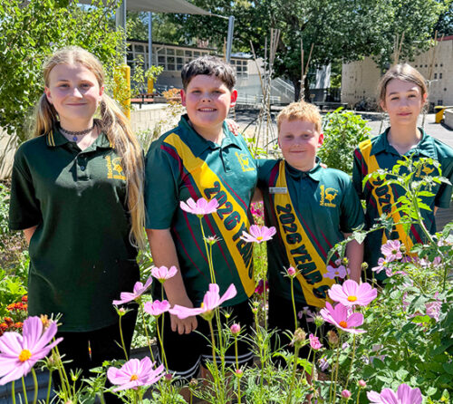 Image RSSA26 finalist Monbulk PS