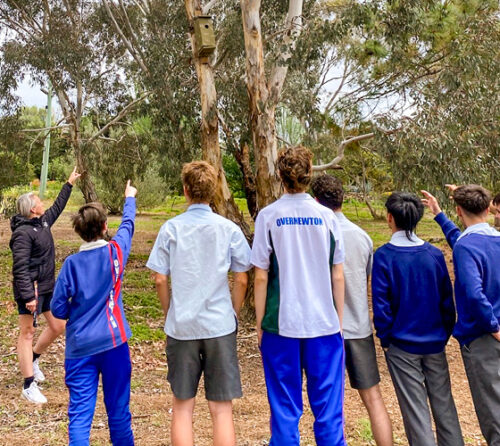 Image RSSA26 finalist Overnewton Anglican Community College