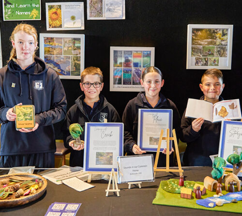 Image RSSA26 finalist St James PS Sebastopol